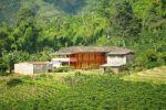 paisaje_cult_cafetero_min